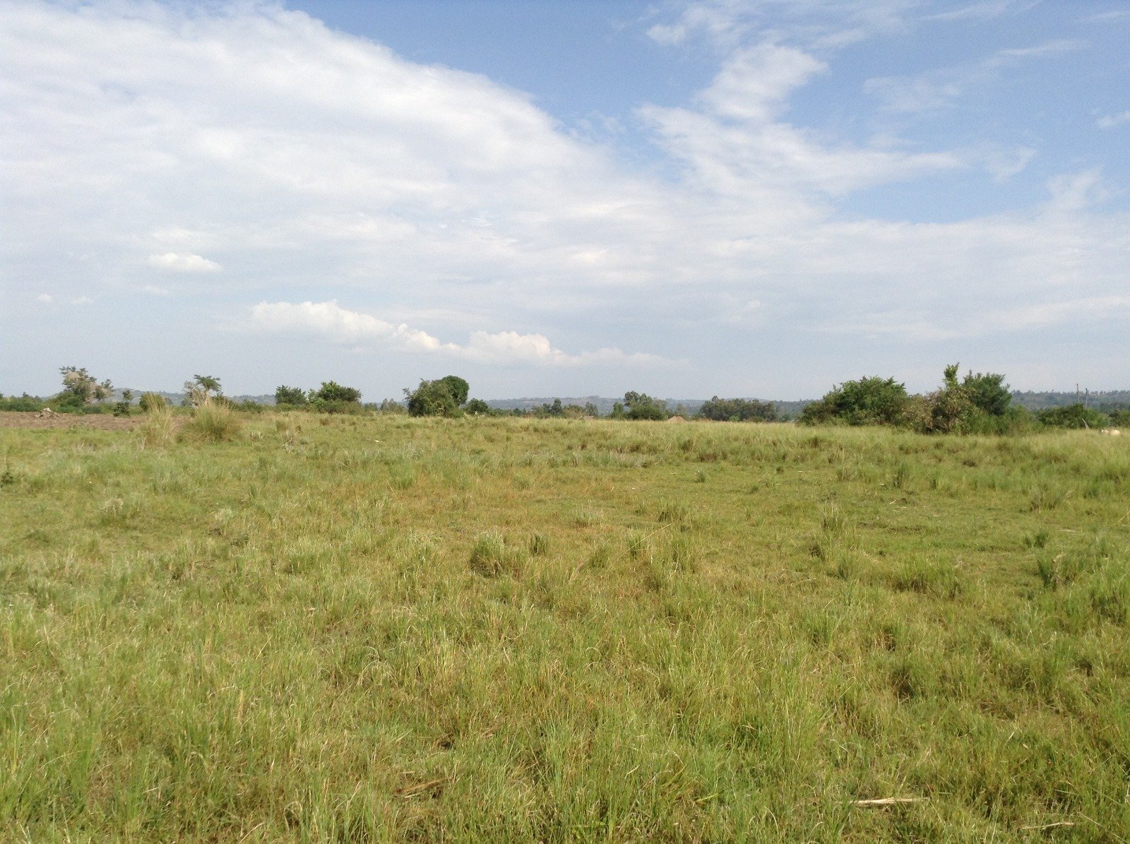 Wide grassy field at Suna Wasimbete with distant hills