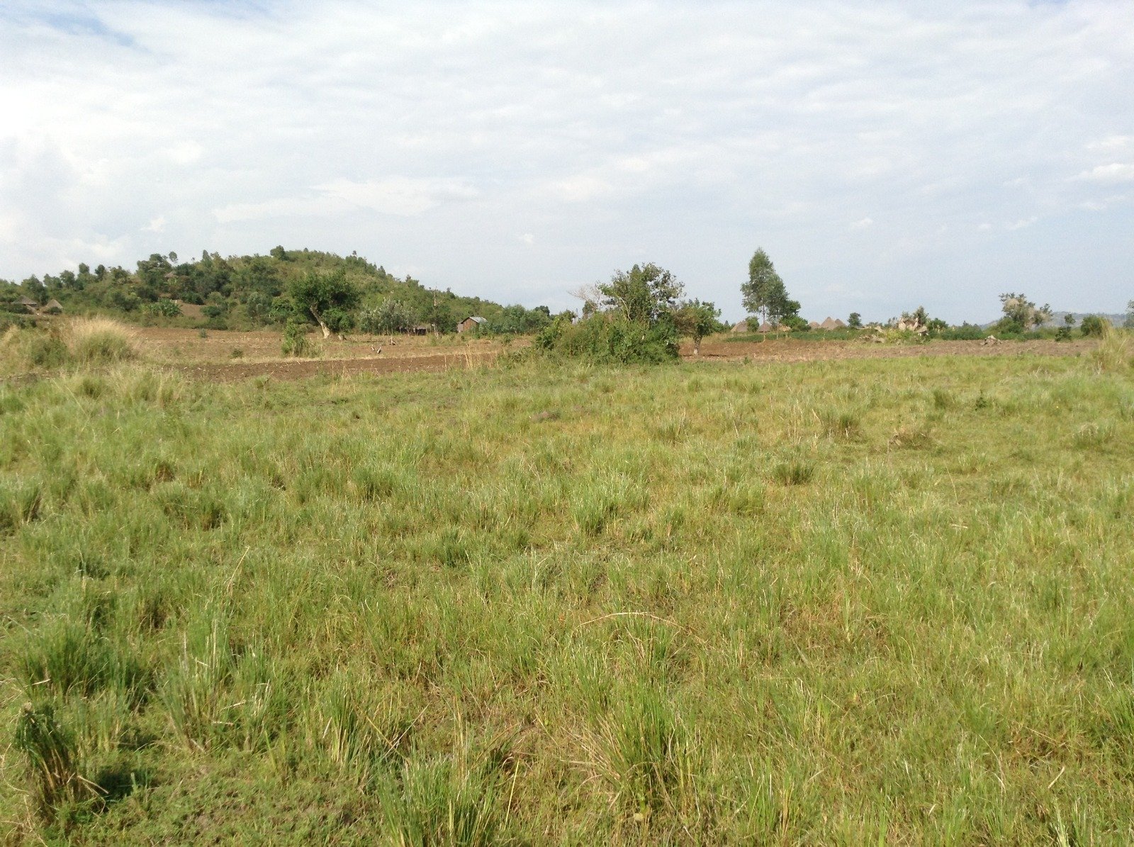 Open Suna Wasimbete grassland under a blue sky