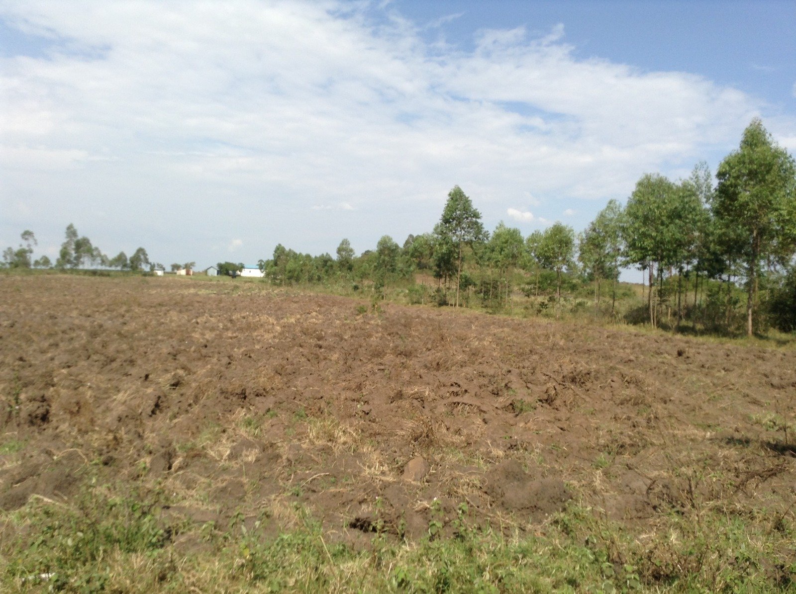 Green Suna Wasimbete acreage with nearby cultivated land